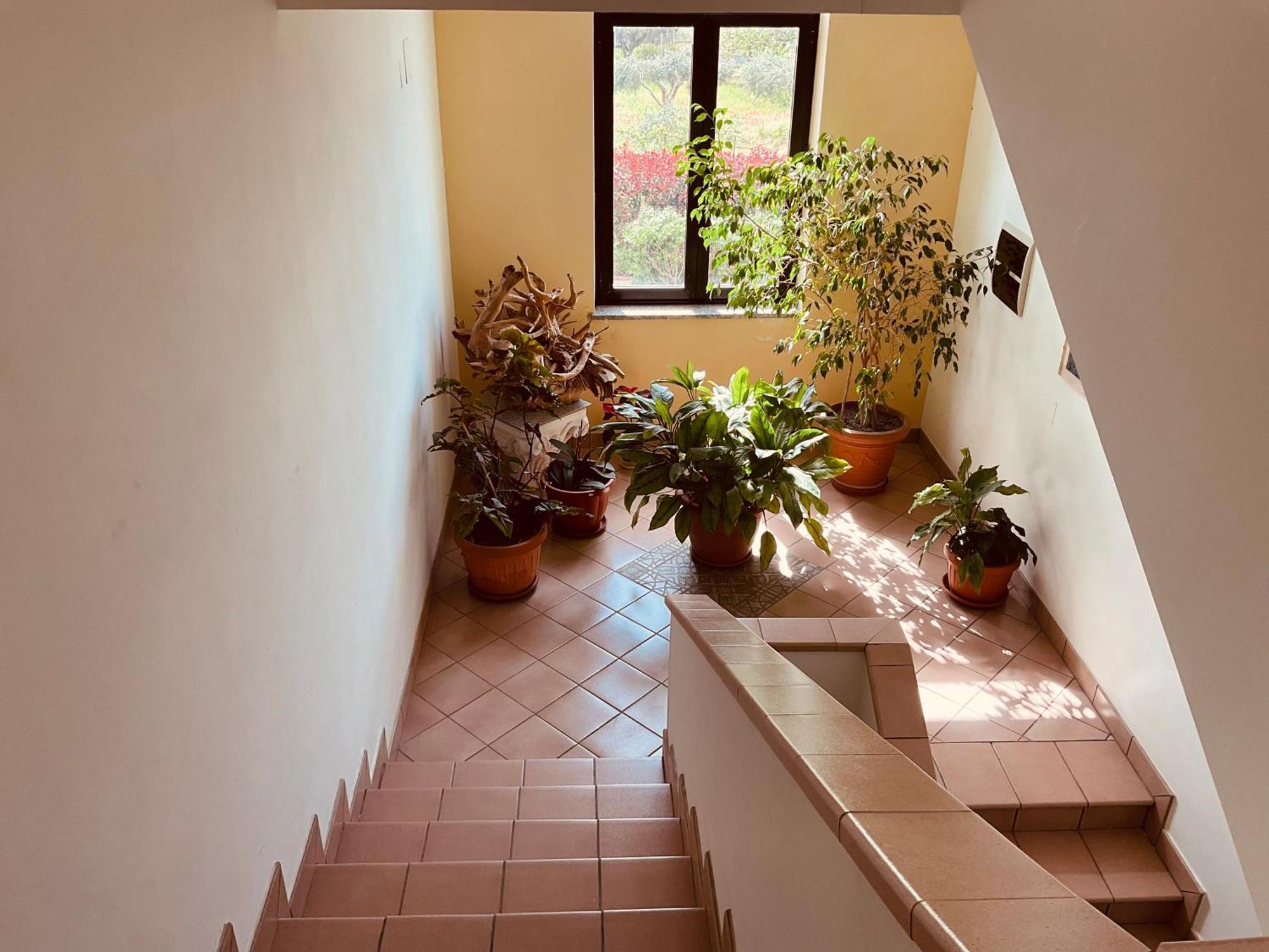 Casa Vacanza Demetra Fuscaldo Exteriör bild