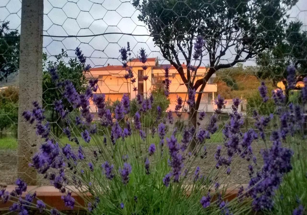 Casa Vacanza Demetra Fuscaldo Exteriör bild